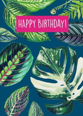 Houseplant Blue Birthday Card