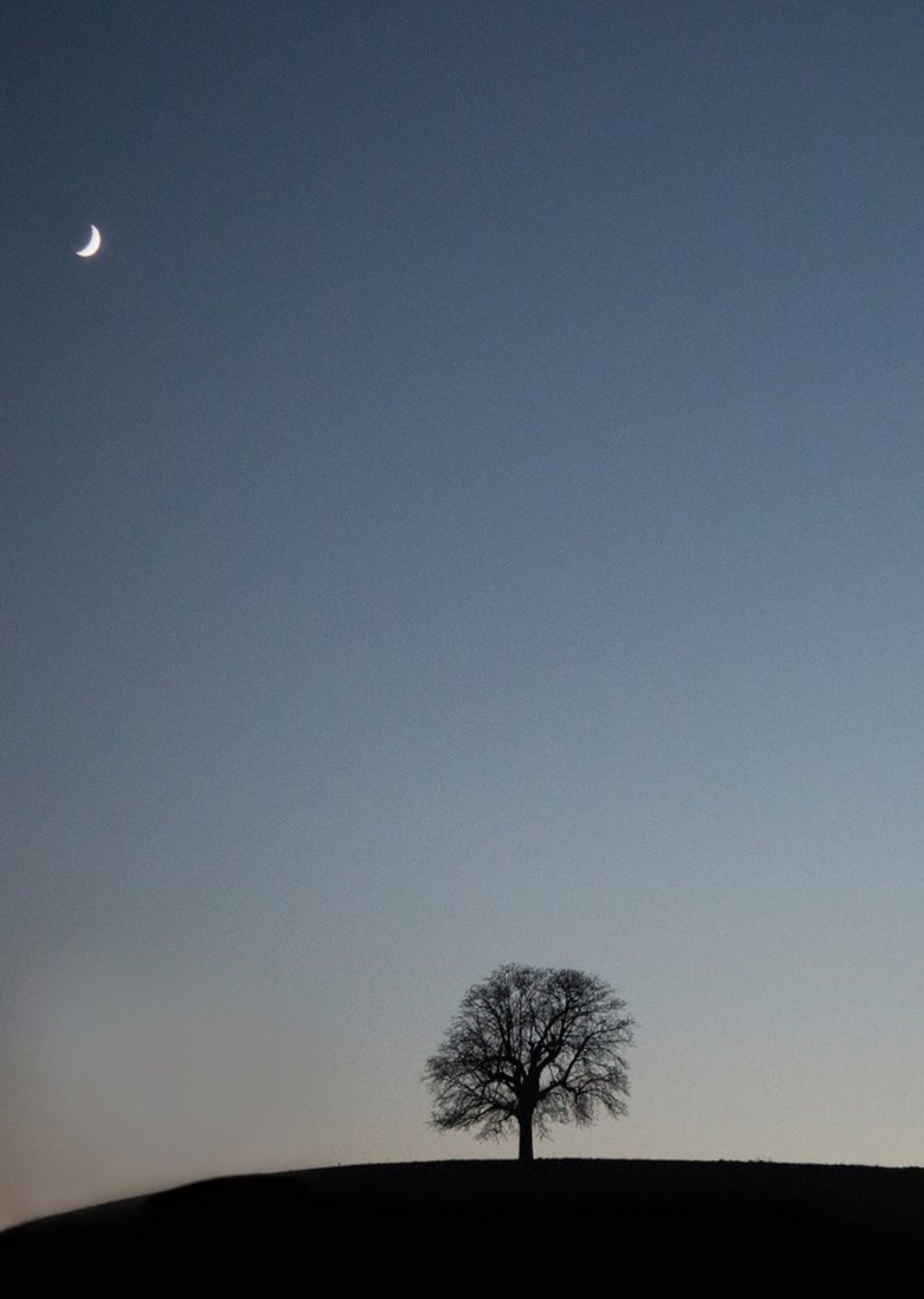Moonpig Photo Of Tree On Hill Night Time Scene Card