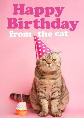 Funny Happy Birthday From The Cat Card