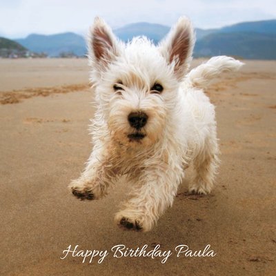 Terrier Birthday Card