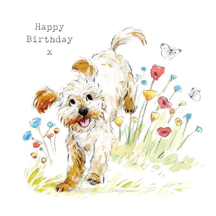 Cute Illustrated Cockapoo Birthday Card