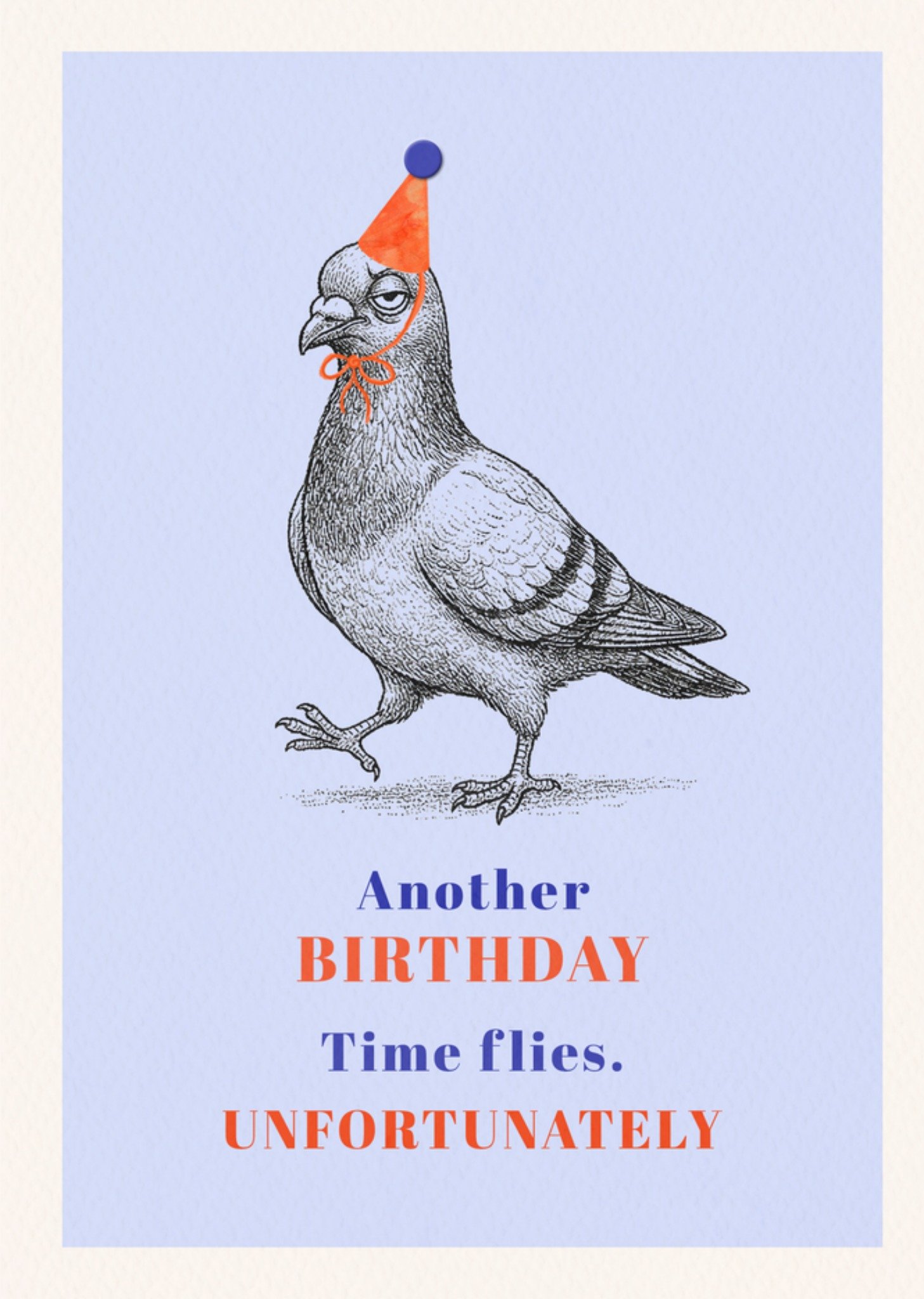 Moonpig Time Flies Funny Illustrated Pigeon Birthday Card