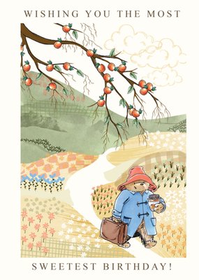 Paddington Bear Sweetest Birthday Card