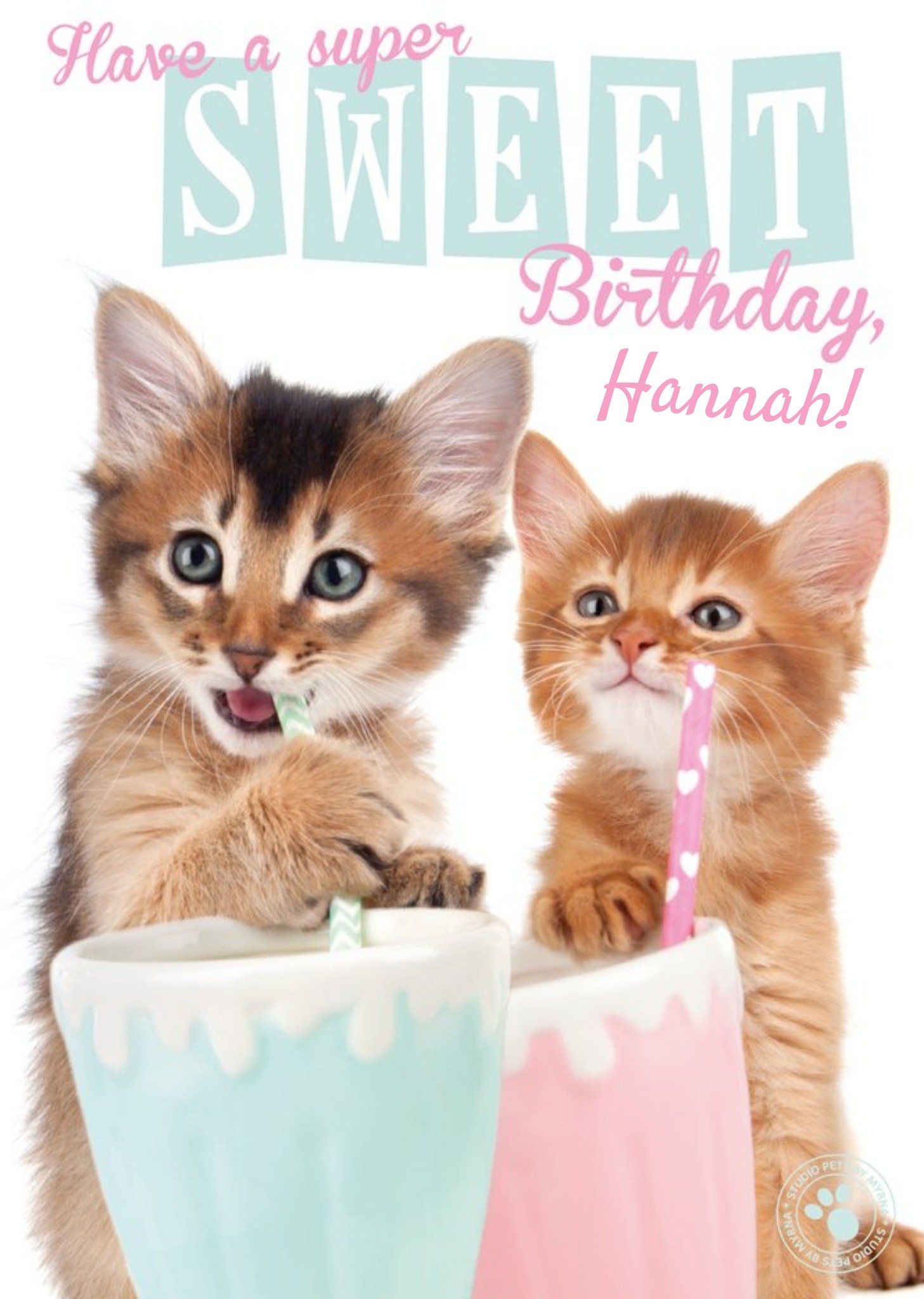 Studio Pets Kitties And Milkshakes Happy Birthday Card