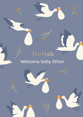 Hurrah Welcome Baby Illustrated New Baby Card