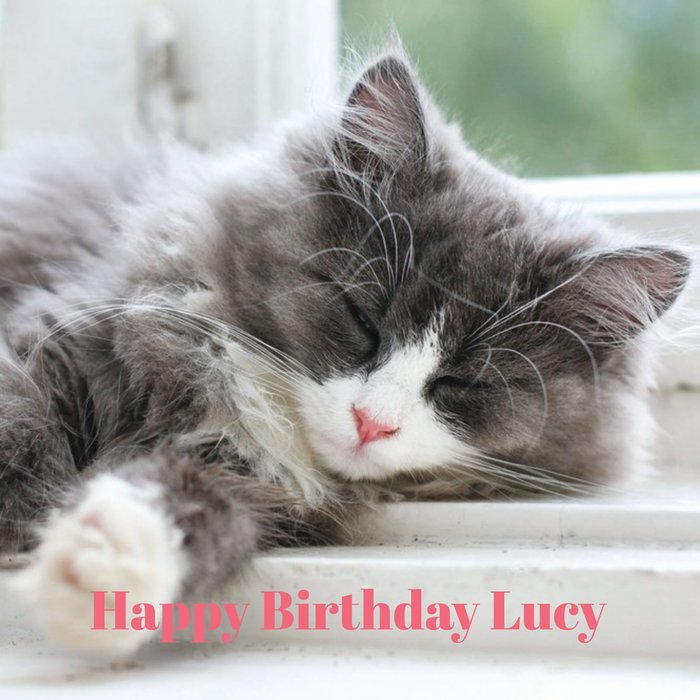 Cat Birthday Card