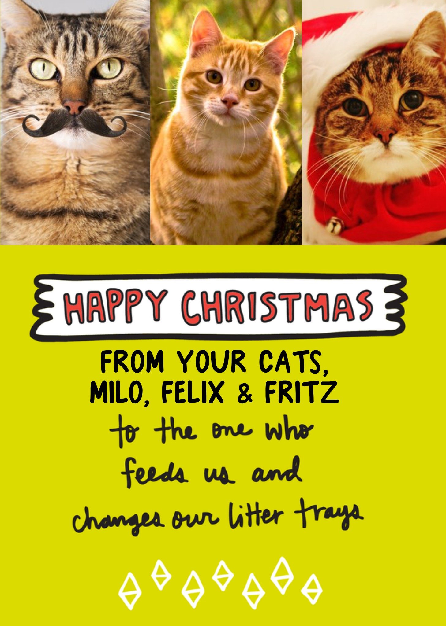 Moonpig Happy Christmas From The Cats Photo Upload Card