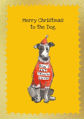 Funny Dog In Christmas Jumper Christmas Card