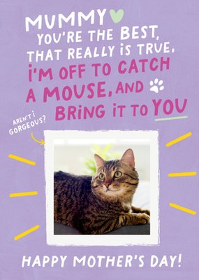 From The Cat Catch A present For You Mummy Photo Upload Mother's Day Card