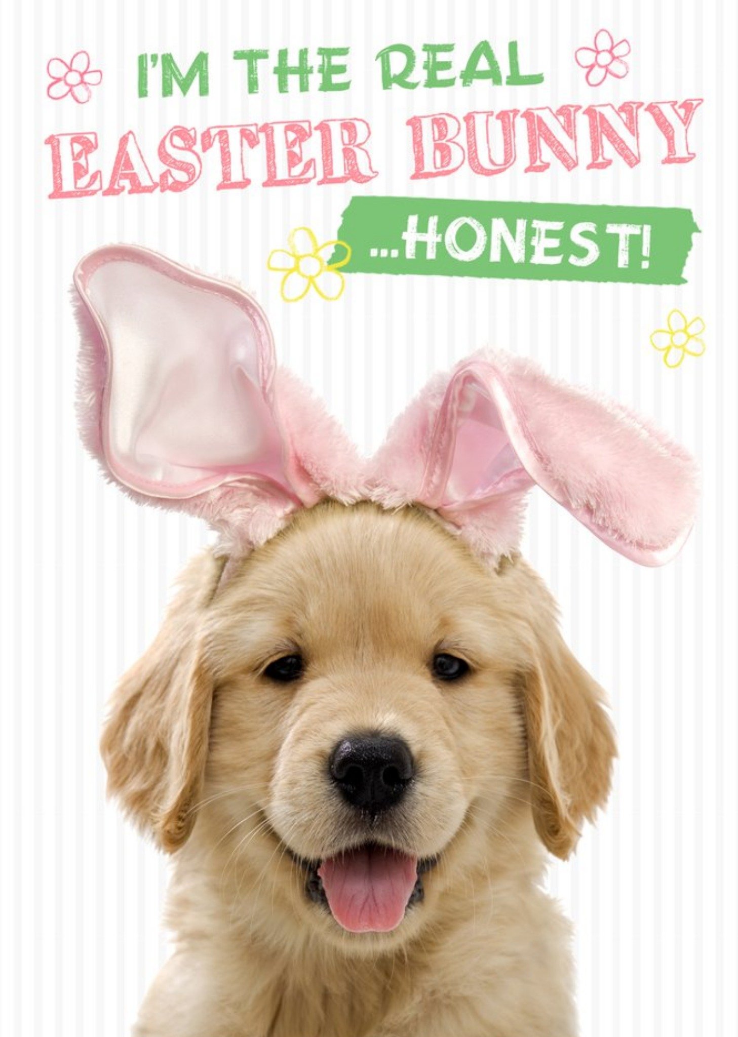 Moonpig Adorable Puppy I Am The Real Easter Bunny Card