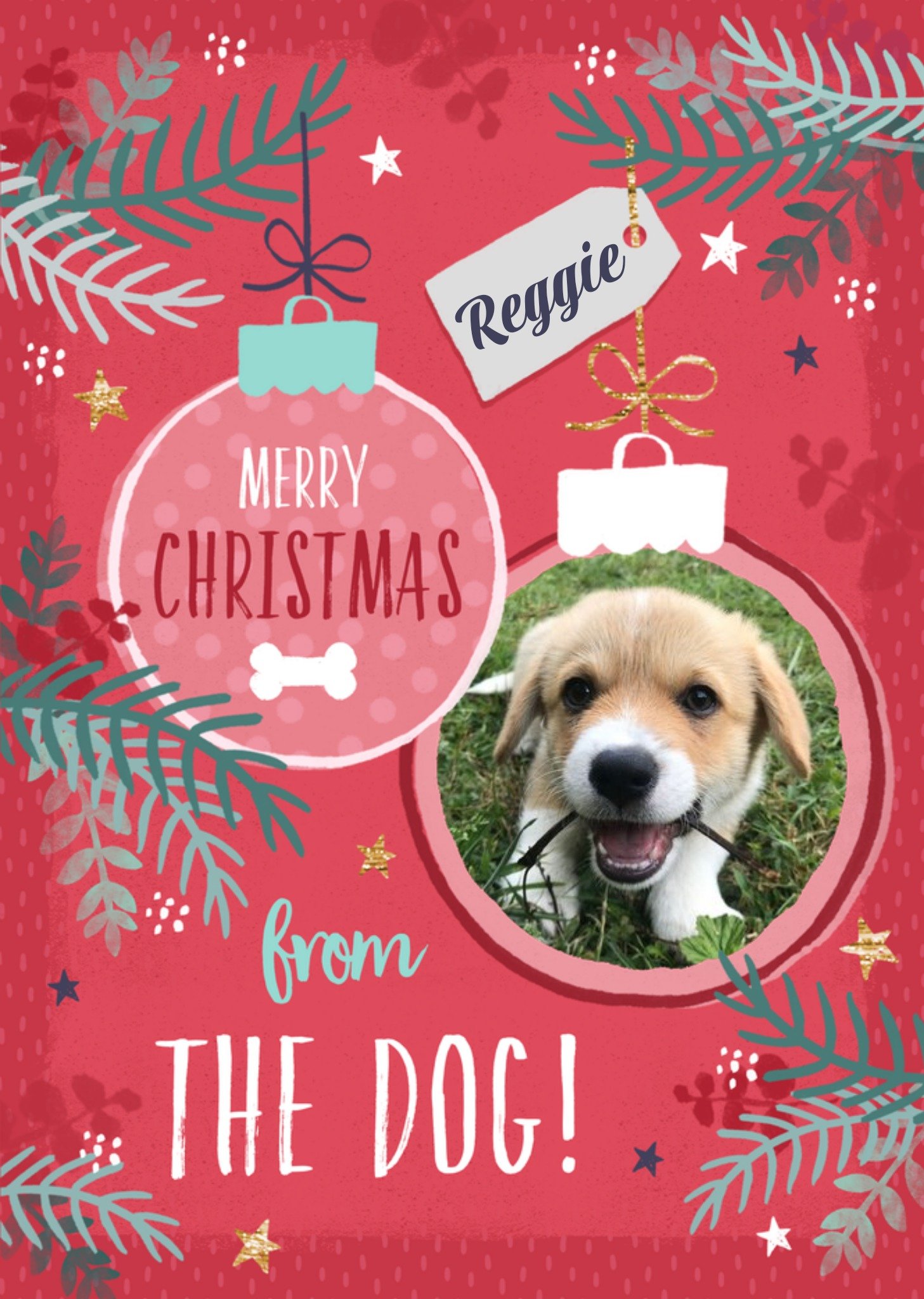 Moonpig Studio Sundae Merry Christmas From The Dog Photo Upload Christmas Card