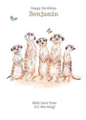 Meerkats Birthday Card