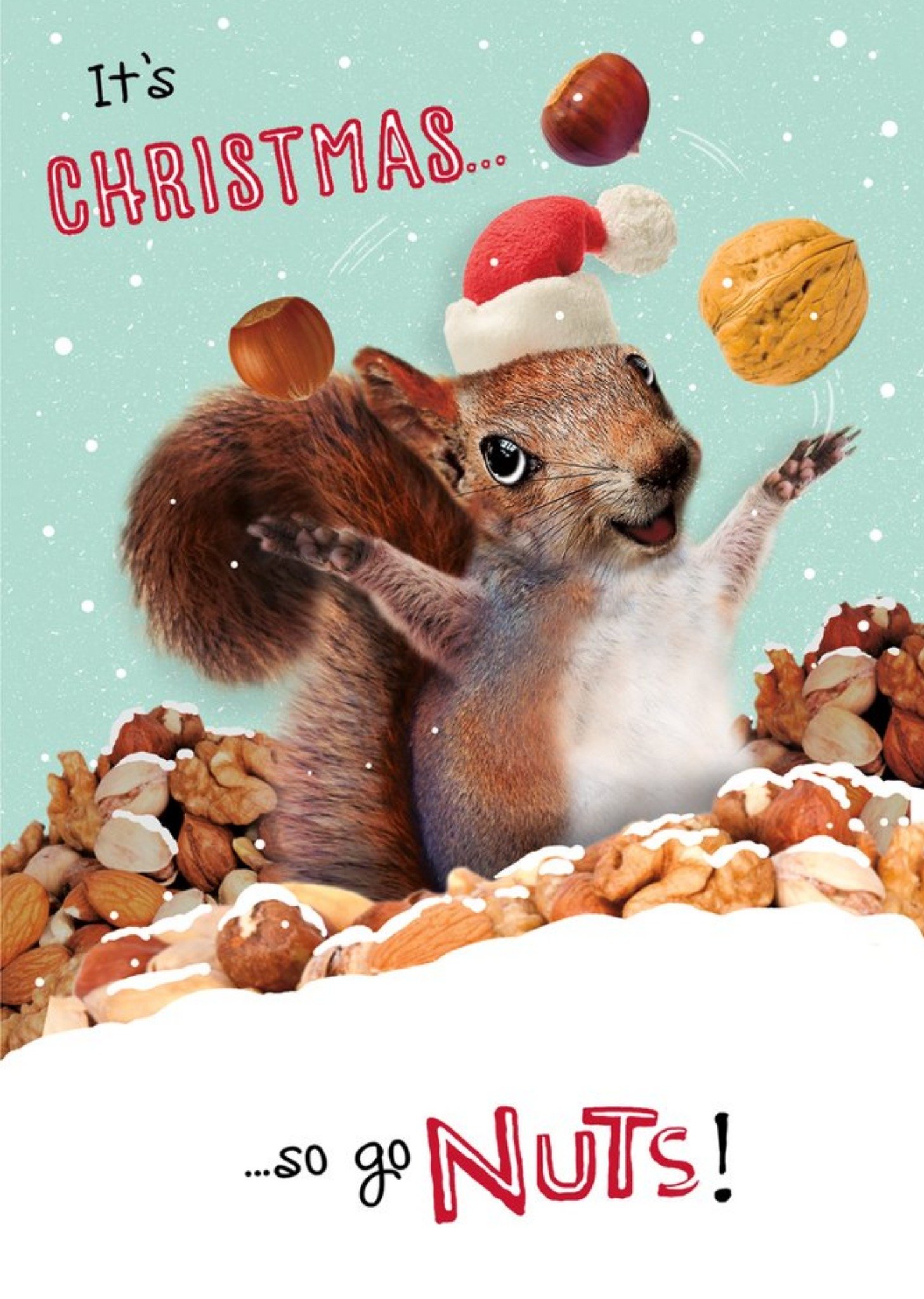 Moonpig Photographic Image Of A Squirrel Surrounded By Nuts Funny Pun Christmas Card
