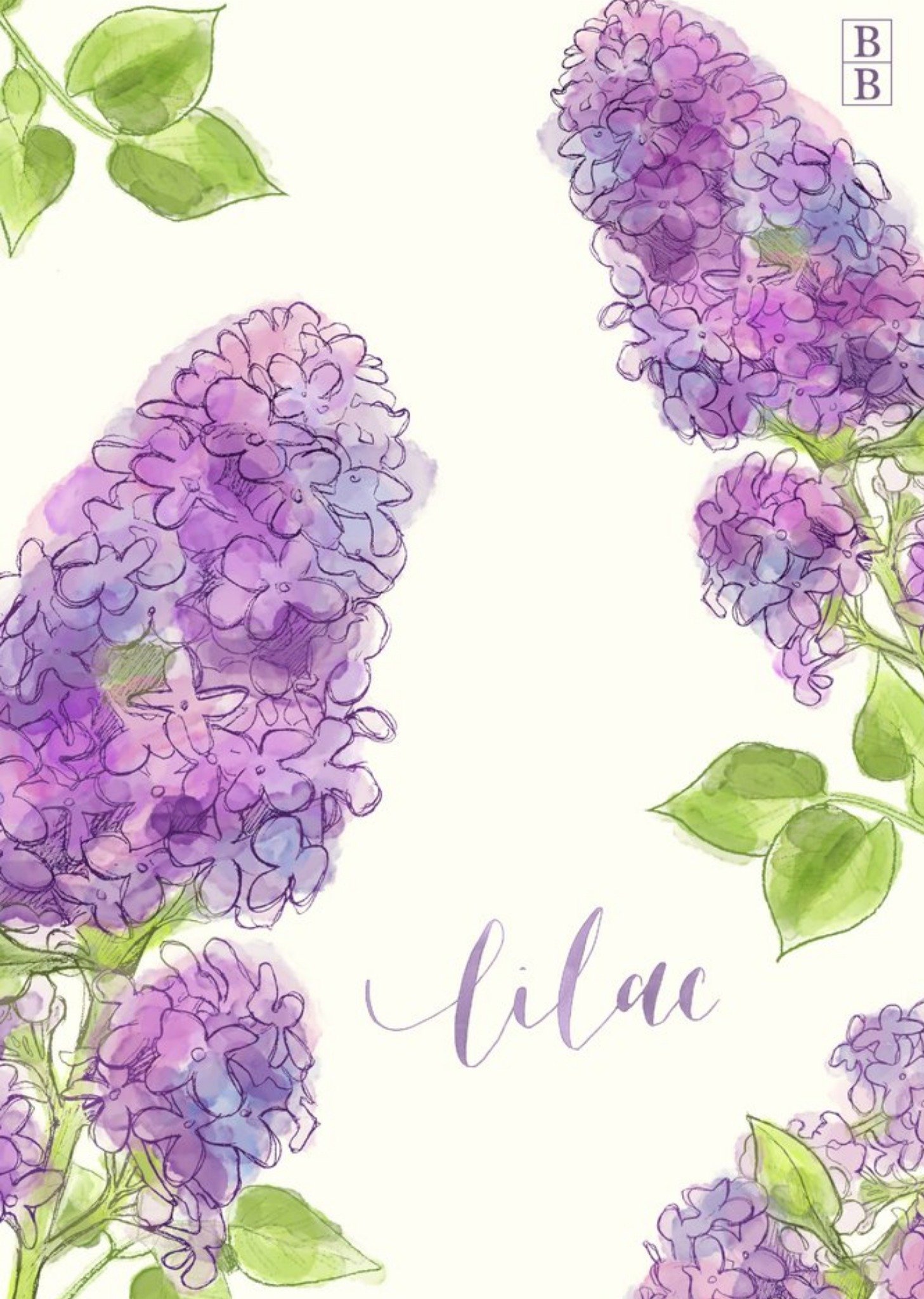 Moonpig Illustrated Lilac Flower Personalised Card