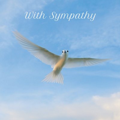 With Sympathy Card Featuring A Peaceful White Bird In Flight