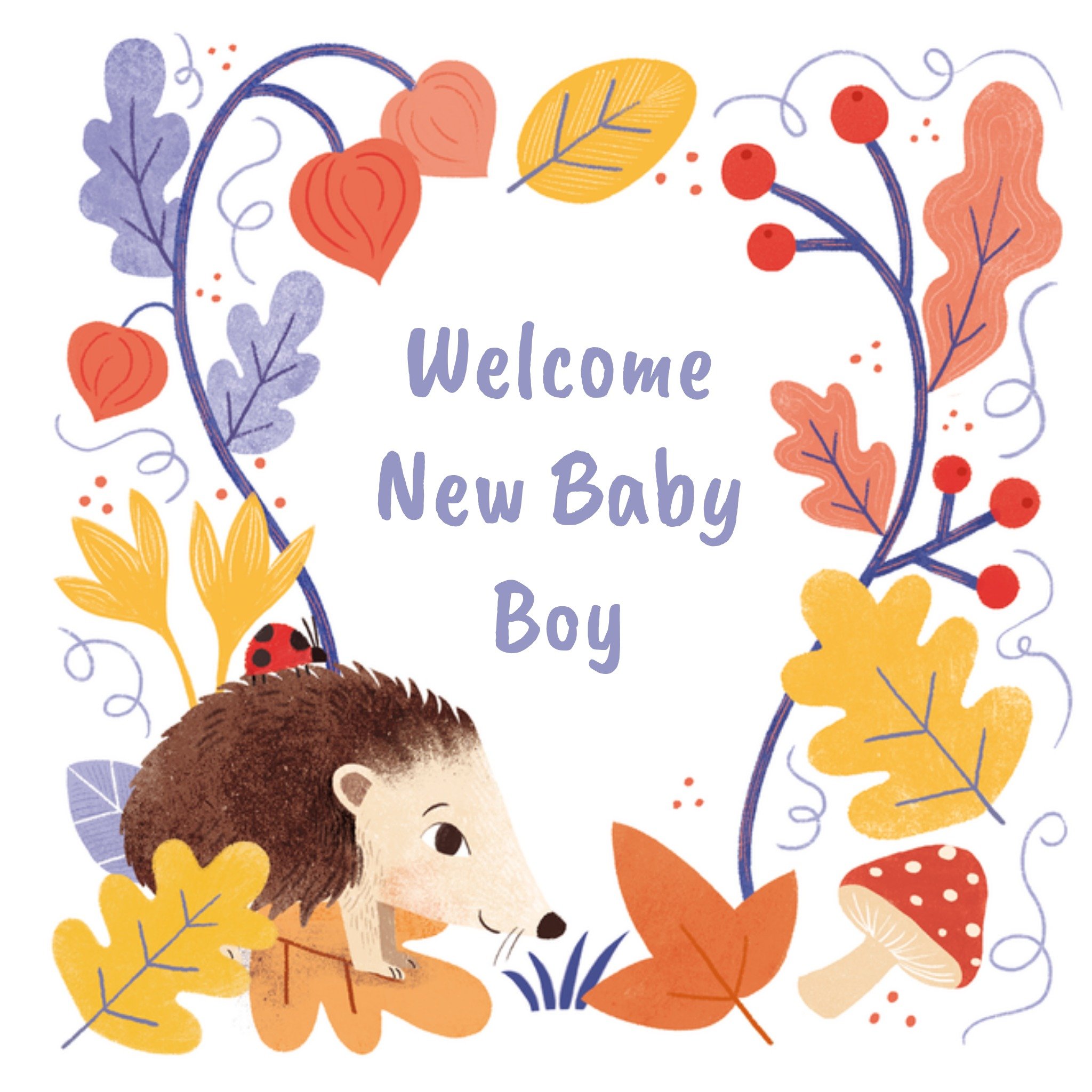 Moonpig Cute Autumnal Illustrated Hedgehog Woodland Foliage New Baby Card