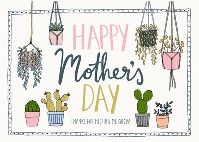 Mother's Day Card - plants - succulents