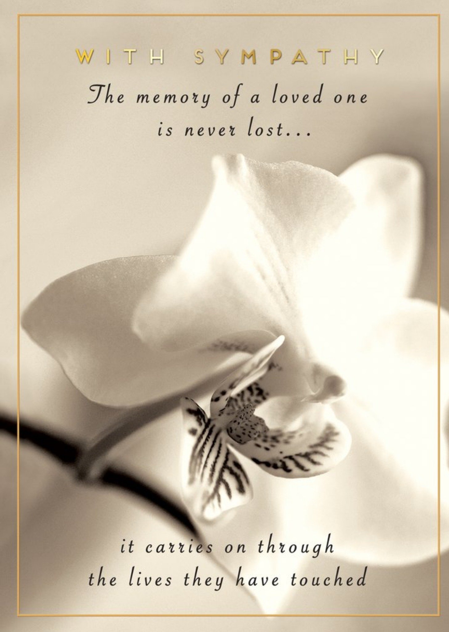 Moonpig Pigment Memory Of A Loved One Sympathy Card