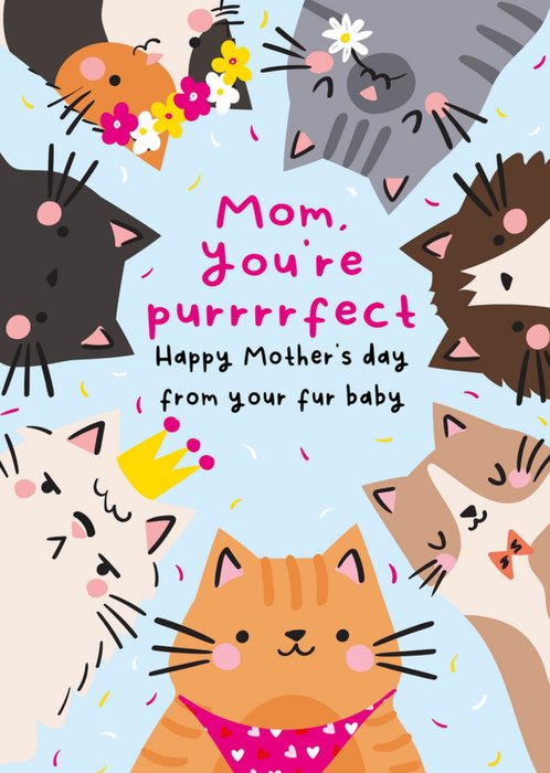 You’re Purrrrfect Cute Illustrated Cat Mother’s Day Card