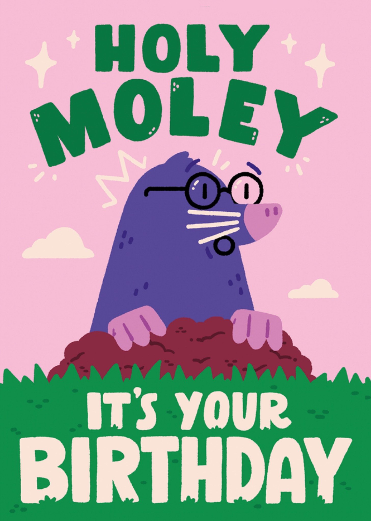 Jolly Awesome Holy Moley It's Your Birthday Illustrated Card