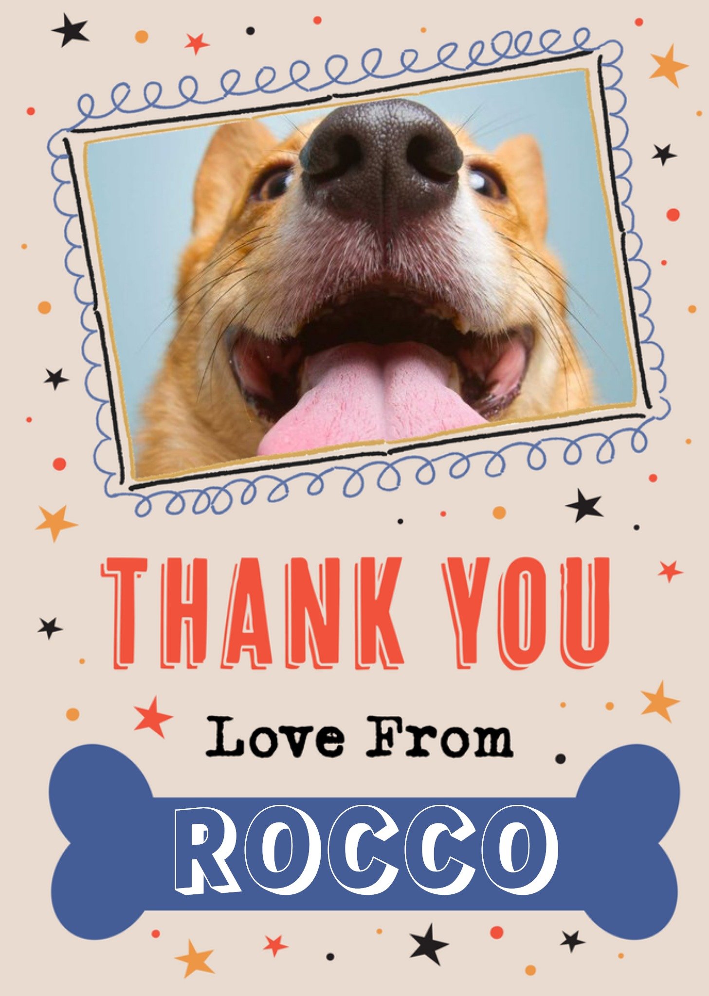 Moonpig Photo Frame Surrounded By Colourful Stars From The Dog Photo Upload Thank You Card