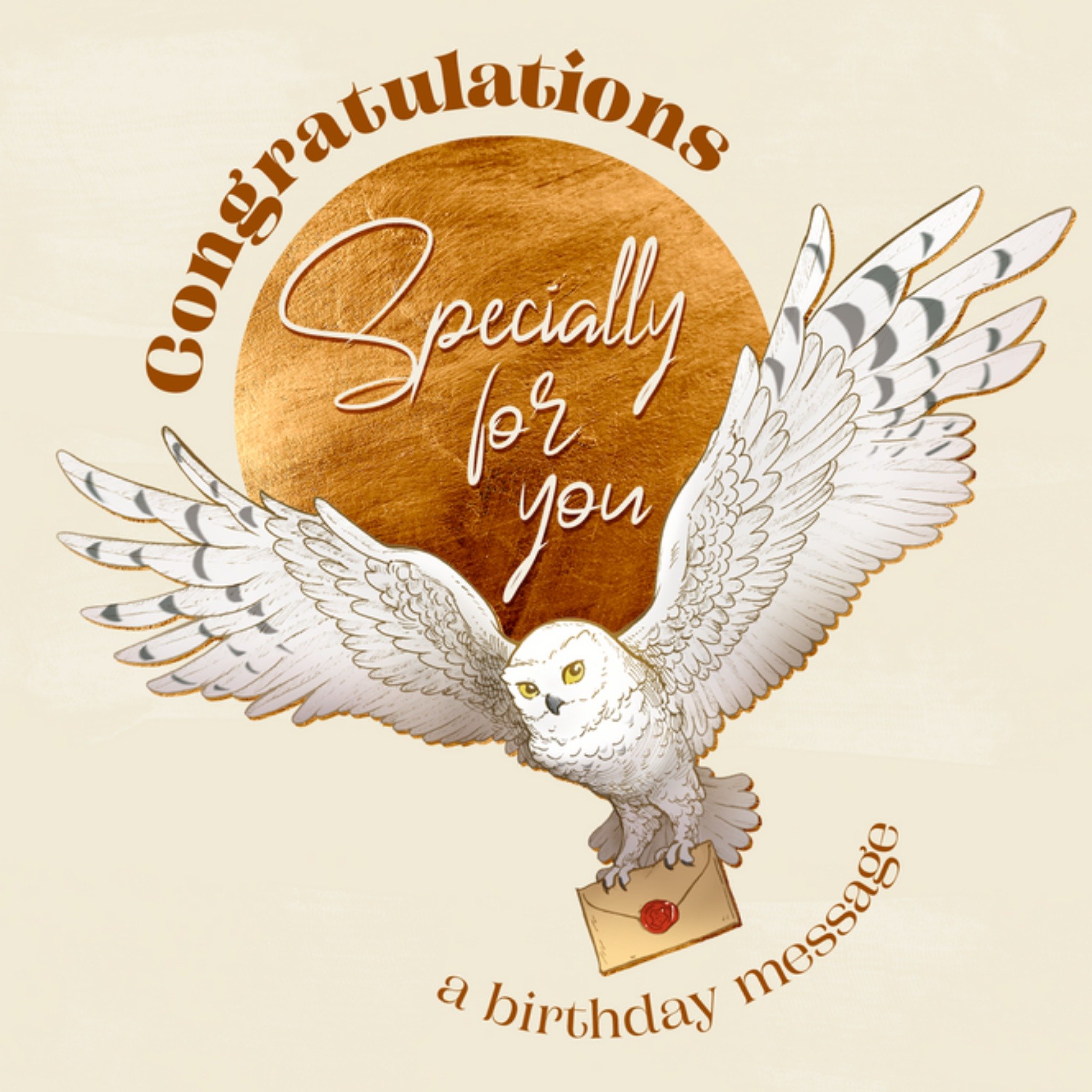 Harry Potter's Hedwig Carrying A Special Birthday Message For You Card, Square