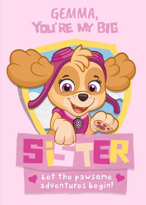 New baby - Sister - paw patrol