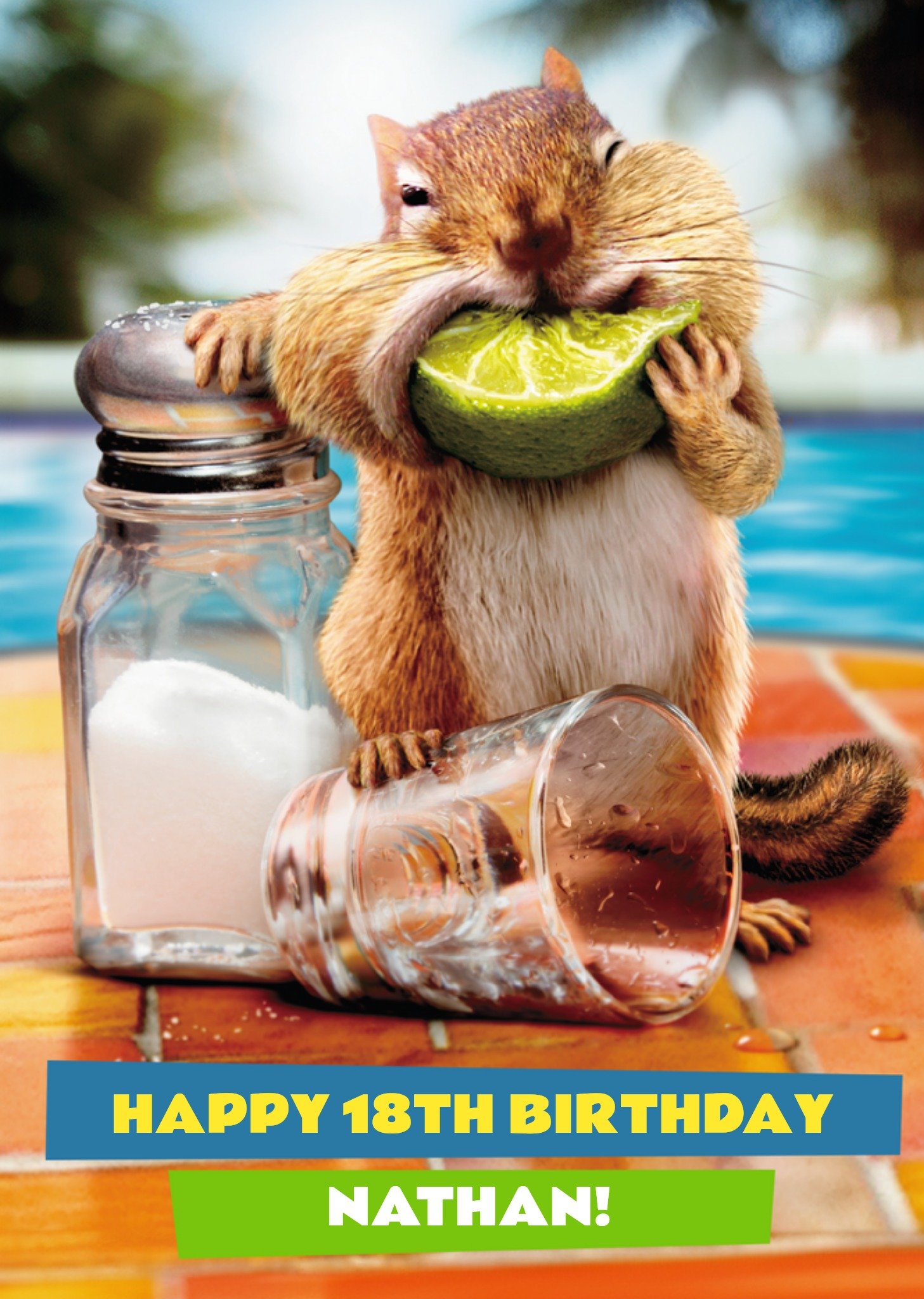 Moonpig Chipmunk And Tequila Birthday Card, Large