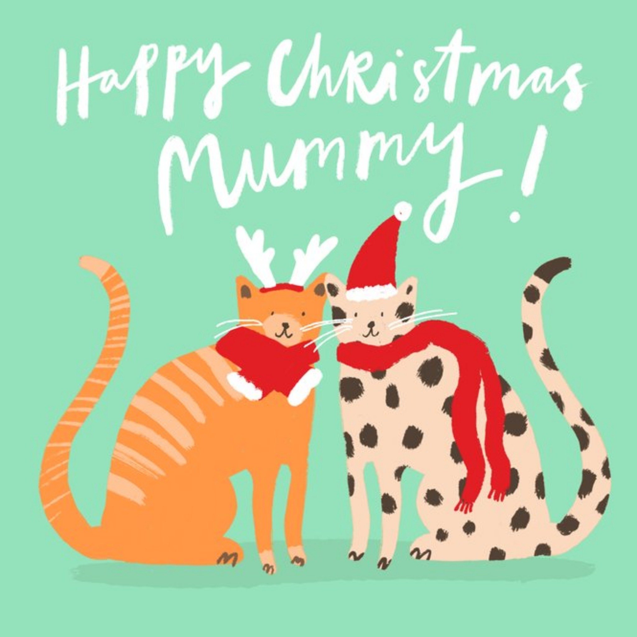 Moonpig Katy Welsh Cute Cat Illustrations Happy Christmas Card