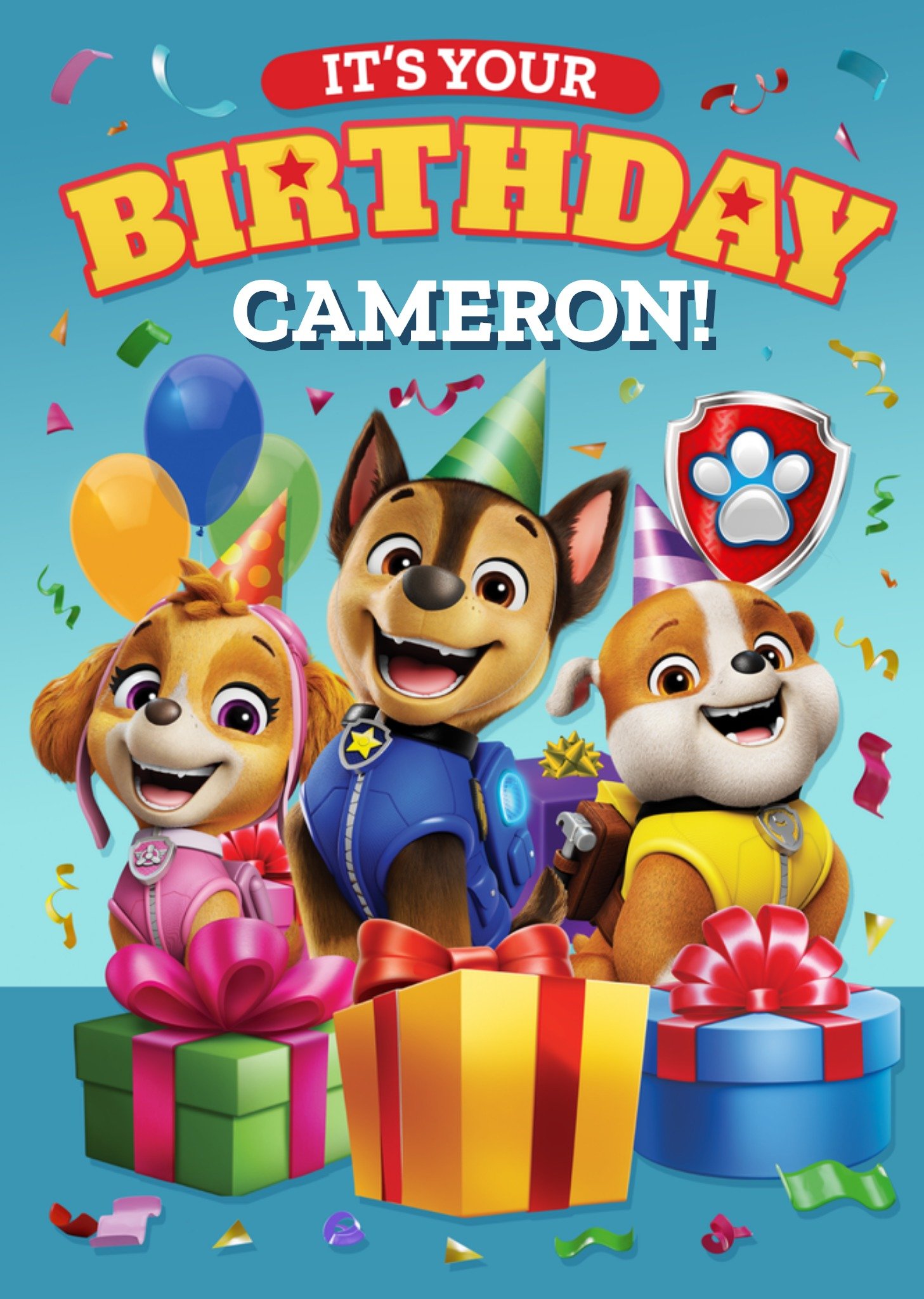 Paw Patrol It's Your Birthday Illustrated Card