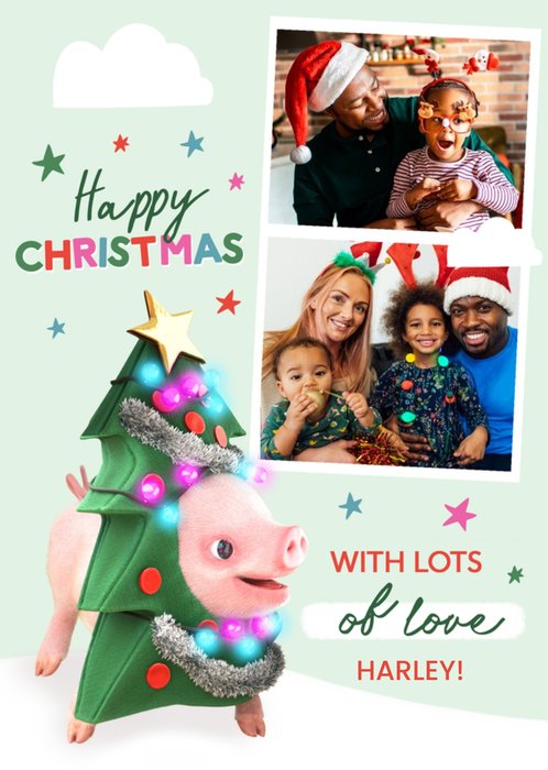 Moonpigs Cute Christmas Tree Pig Christmas Card