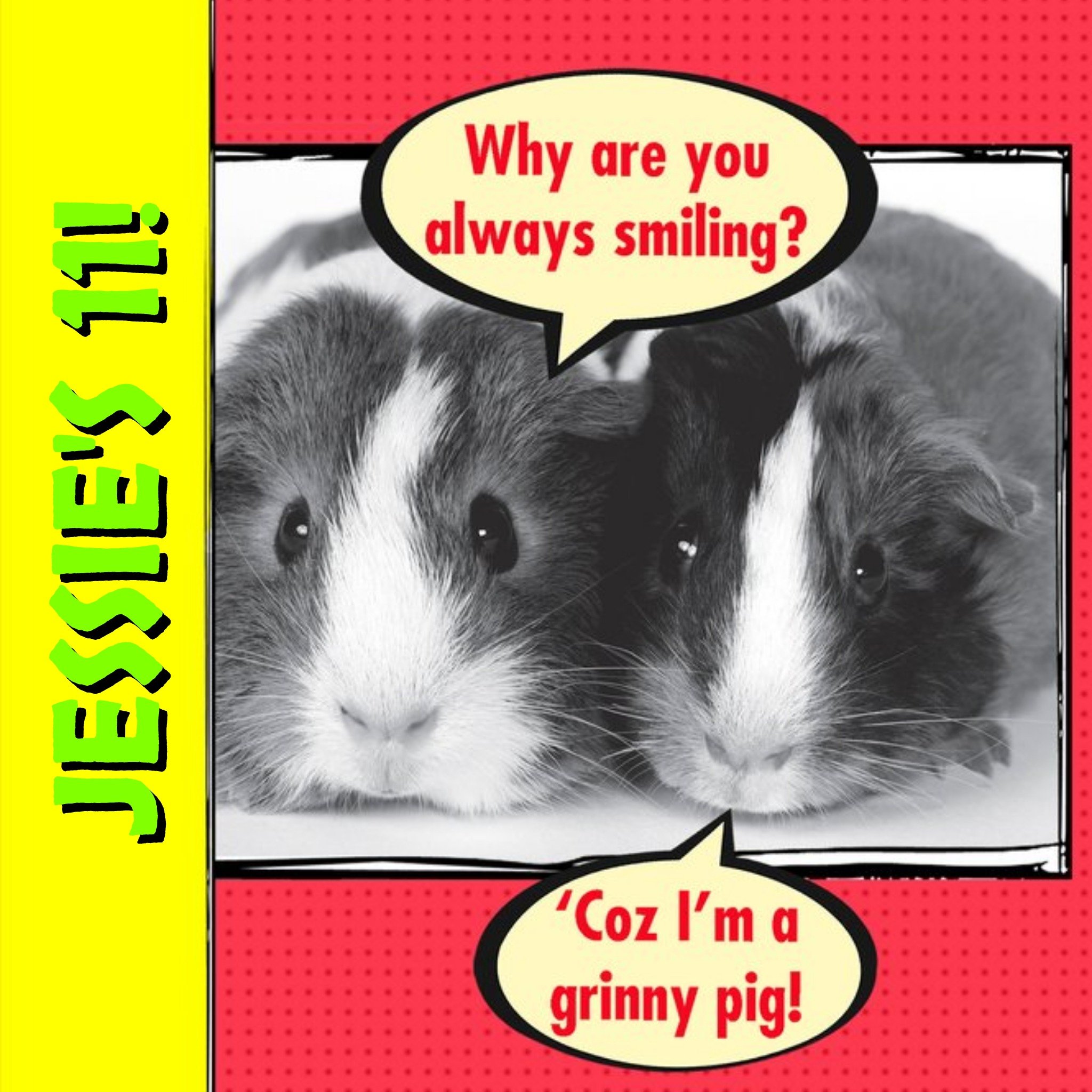 Moonpig Guinea Pig Funny Personalised Happy 11Th Birthday Card