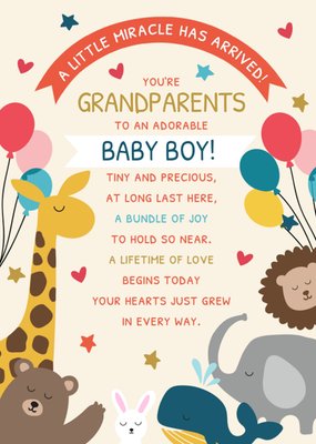 A Little Miracle Has Arrived New Grandparents Baby Boy Card