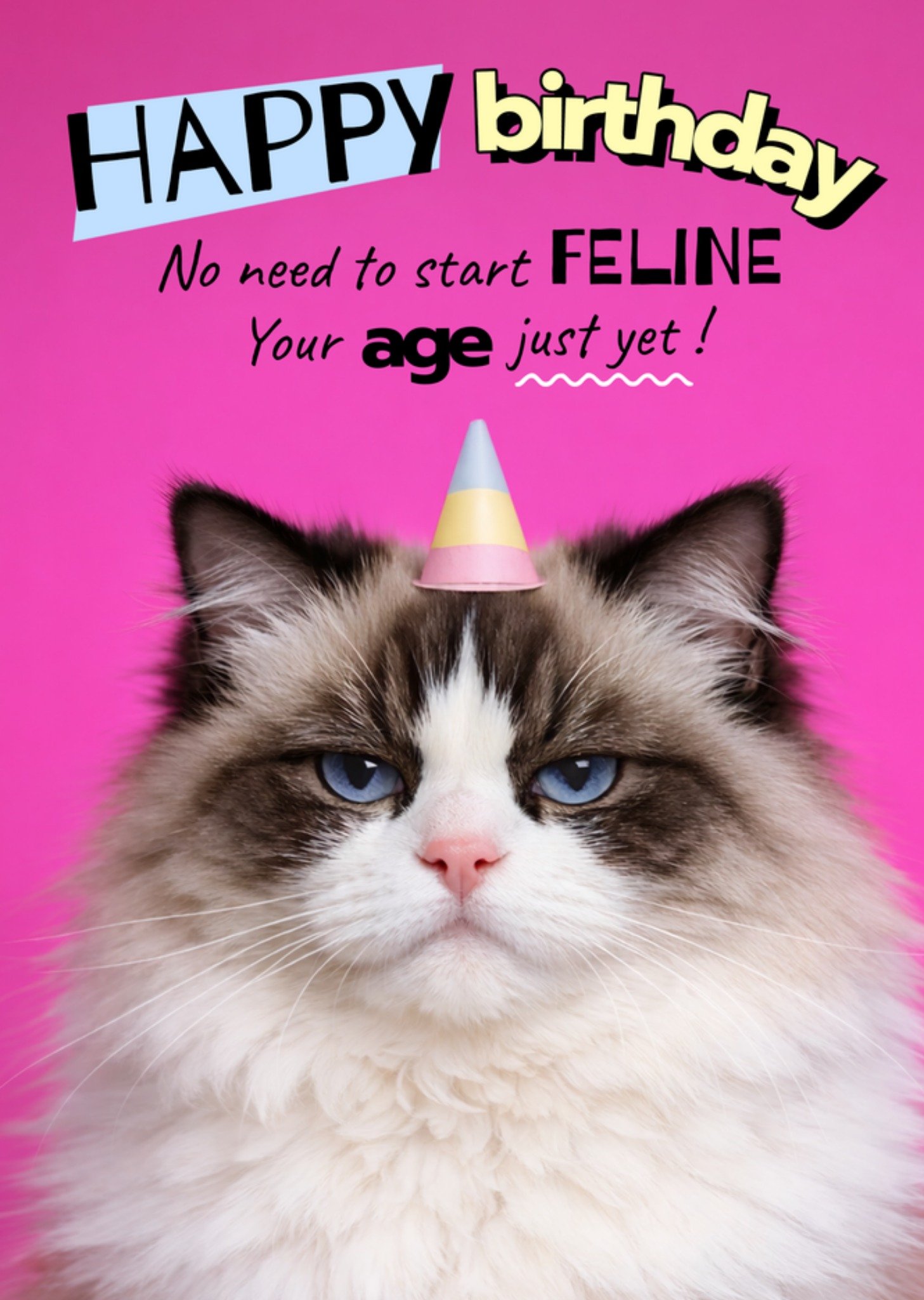 Moonpig No Need To Start Feline Your Age Just Yet Funny Cat Birthday Card