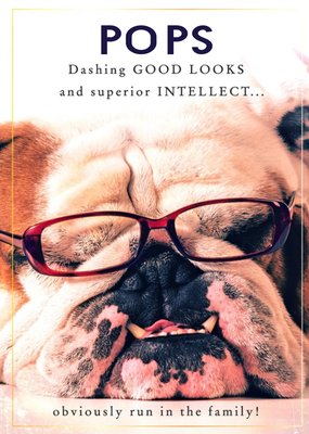 Funny Photographic Bulldog Birthday Card 