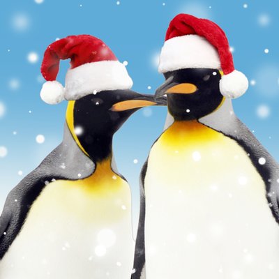 Penguins Christmas Card