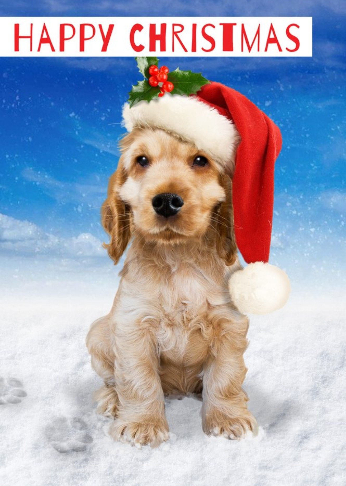 Moonpig Cute Puppy In Santa Hat Christmas Card