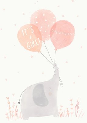 Beth Fletcher Illustrations Cute Illustrated New Baby Girl Animals Card