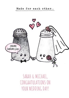 Funny Wedding Card - Newly weds