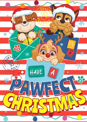 Paw Patrol Have A Pawfect Christmas Special Delivery Card