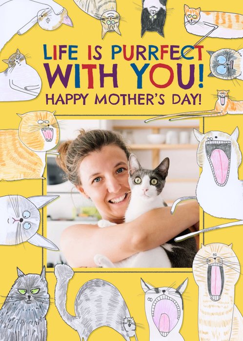 Quirky Illustrations Of Cats Humorous Photo Upload Mother's Day Card