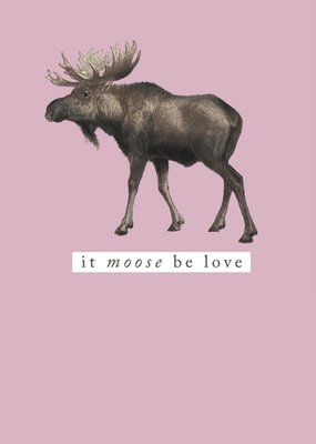 Pastel Pink It Moose Be Love Romantic Card