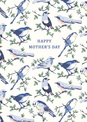 Happy Mother's Day Illustrated Birds Cath Kidston Card