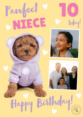 Pawfect Photo Upload Birthday Card