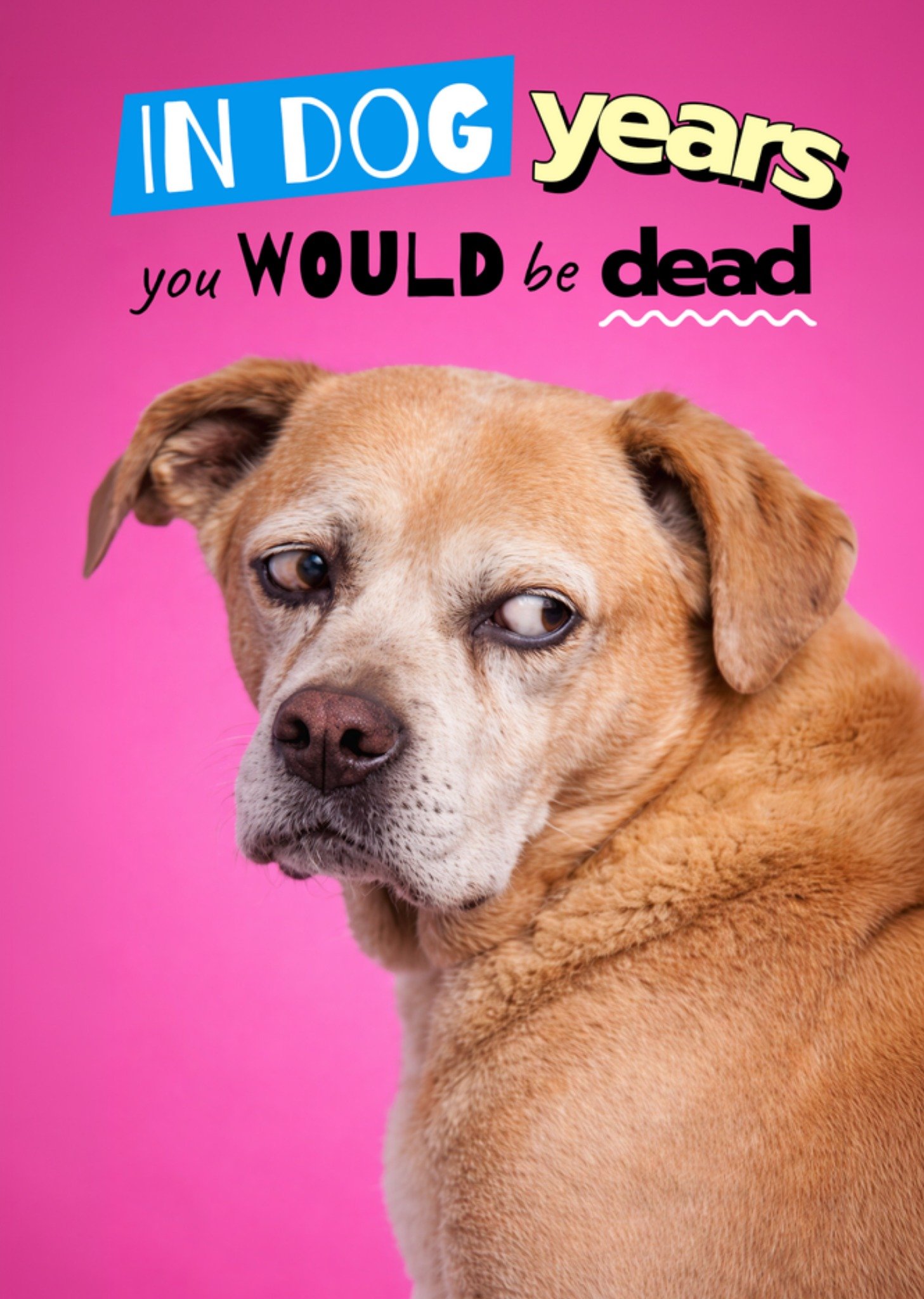 Moonpig Humorous In Dog Years You Would Be Dead Birthday Card