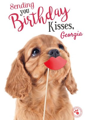 Sweet Puppy Dog Birthday Kisses Card