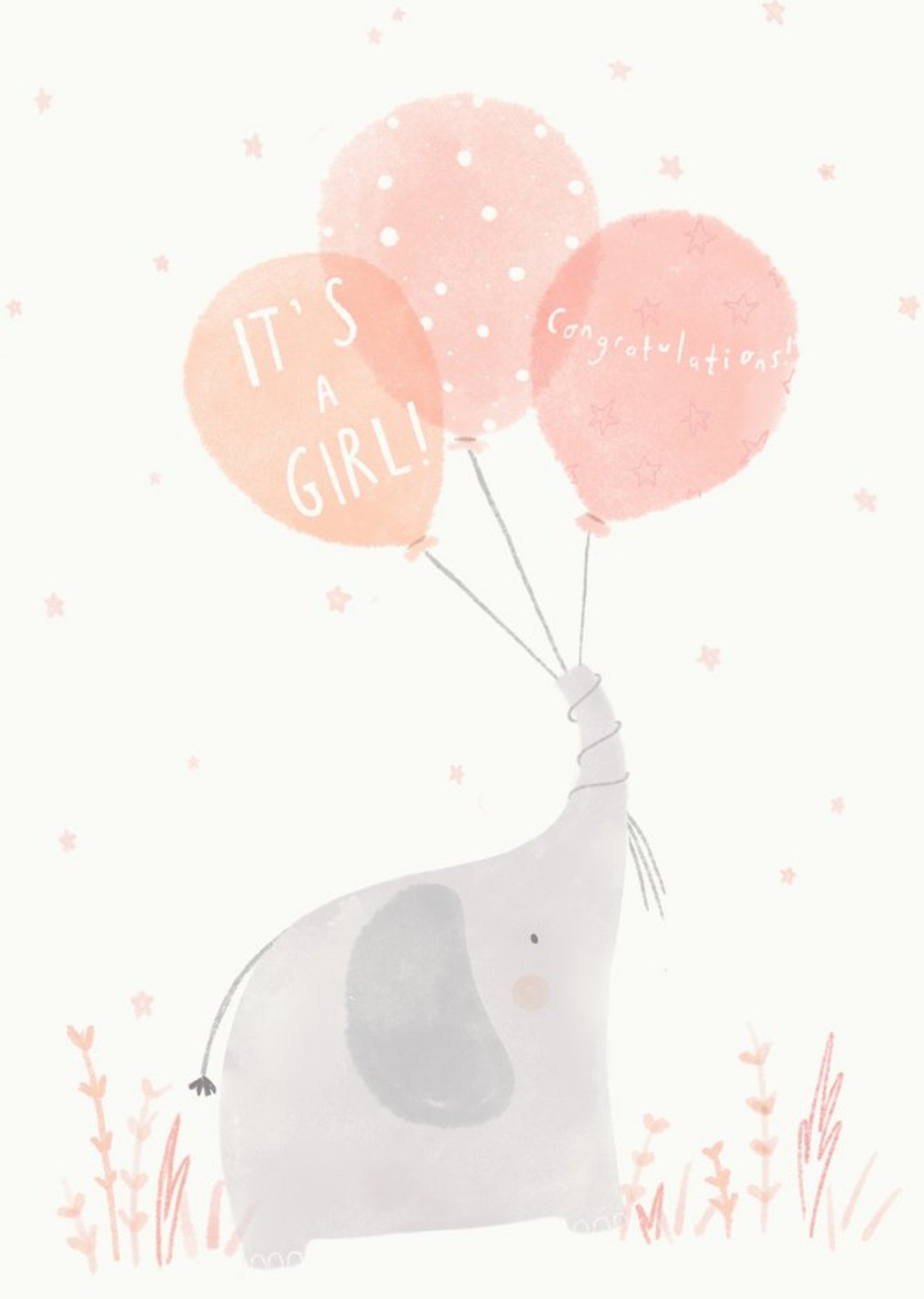 Moonpig Beth Fletcher Illustrations Cute Illustrated New Baby Girl Animals Card