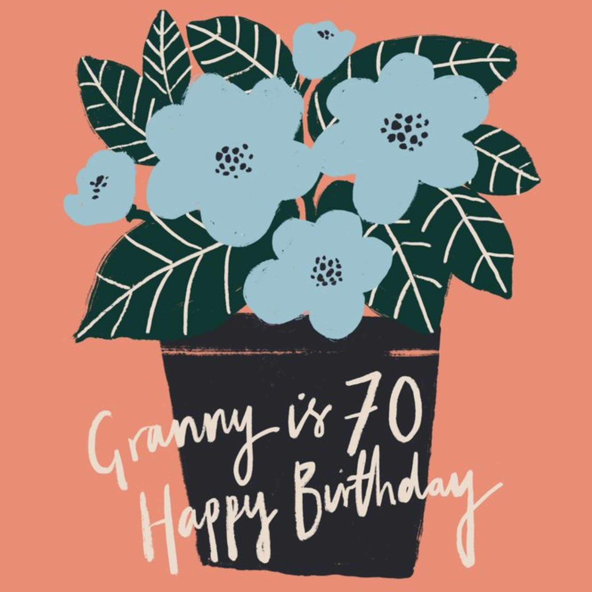 Moonpig Illustrated Flowers Granny Is 70 Happy Birthday Card