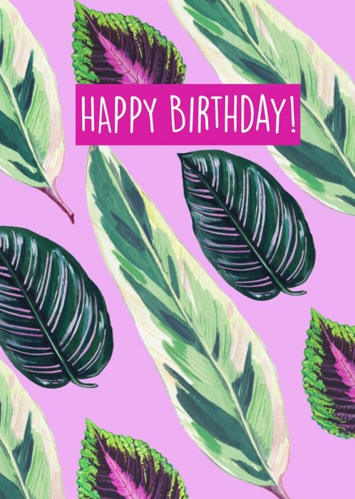 Houseplant Lilac Birthday Card