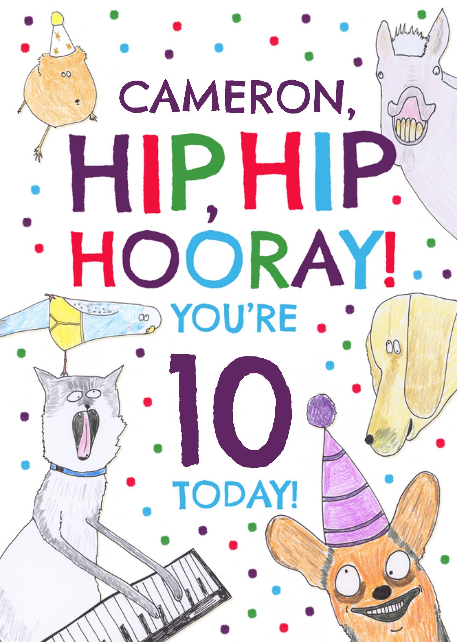 Moonpig Hip, Hip Hooray Birthday Card, Large